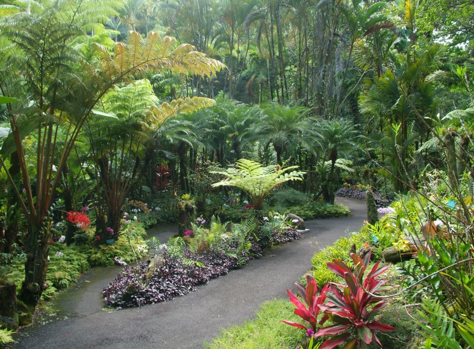 Hawai'i Tropical Botanical Garden