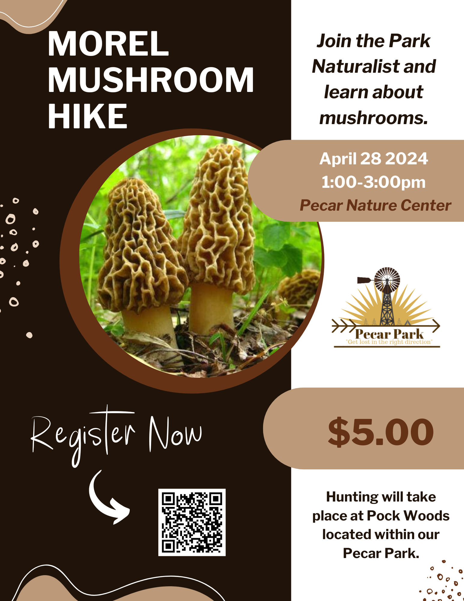 Morel Mushroom Hike | Avon, IN