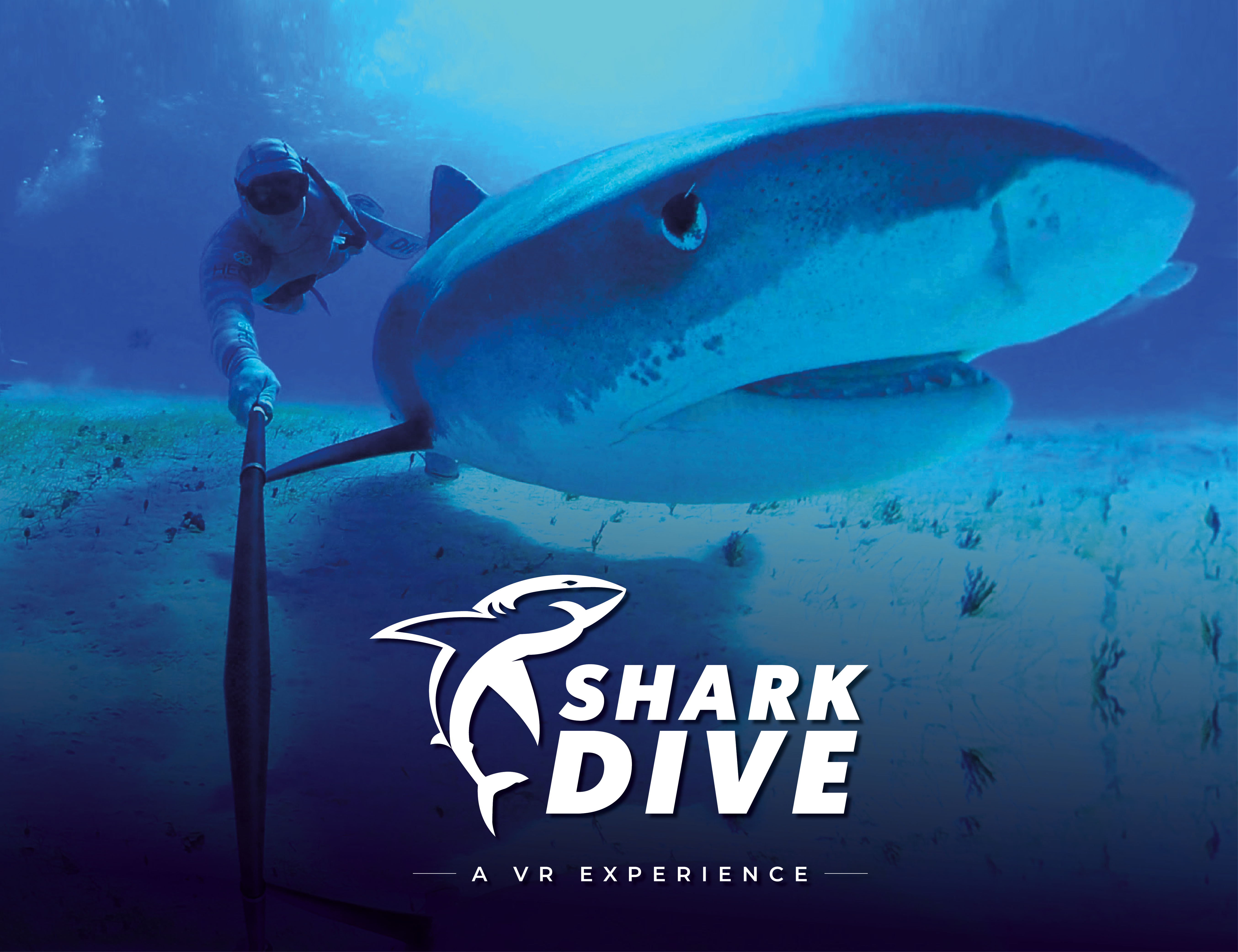 IMMOTION VR Experience- SHARK DIVE