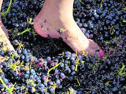 Woodmill Grape Stomp Festival