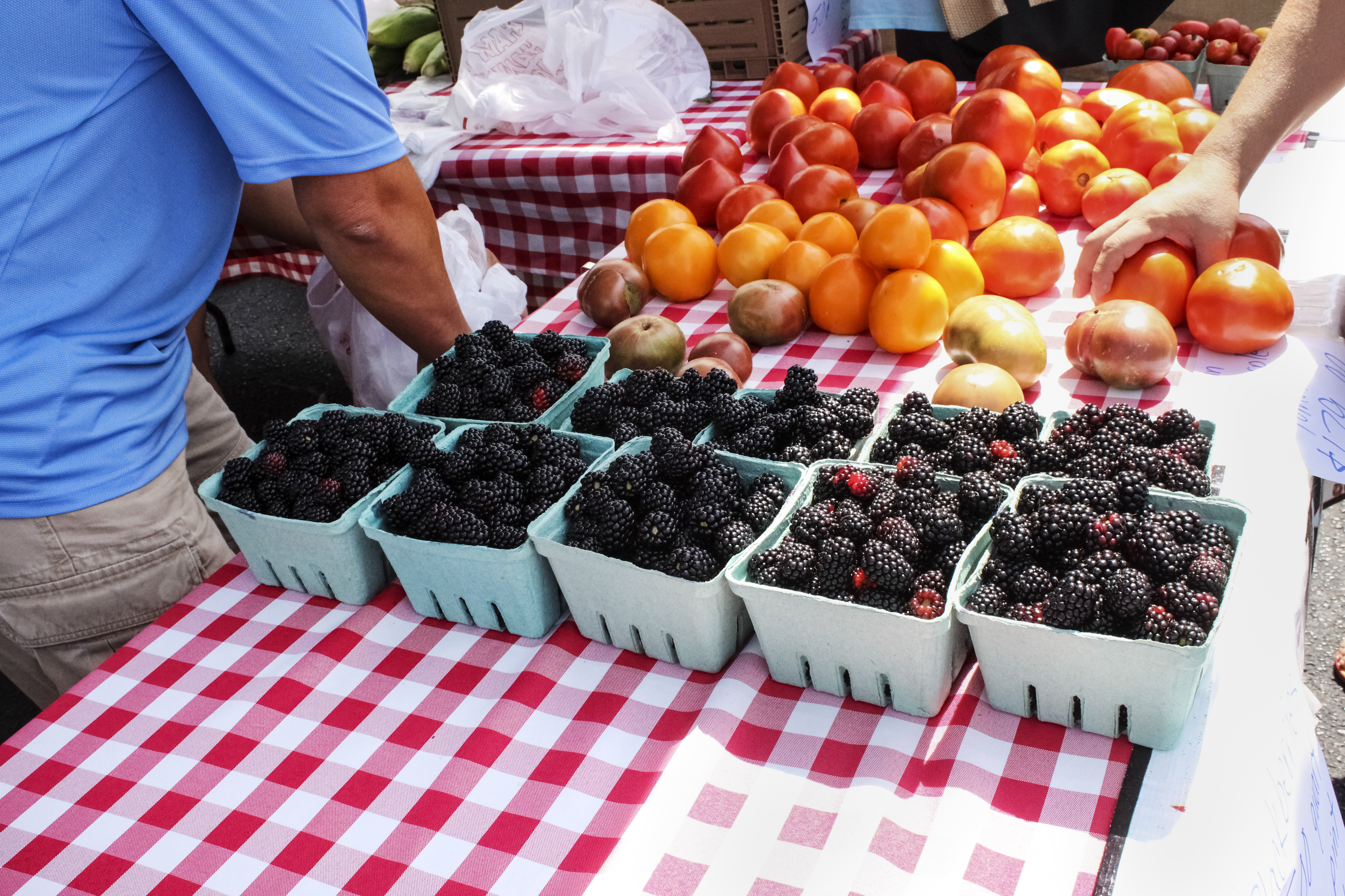 Downtown Hickory Farmers Market