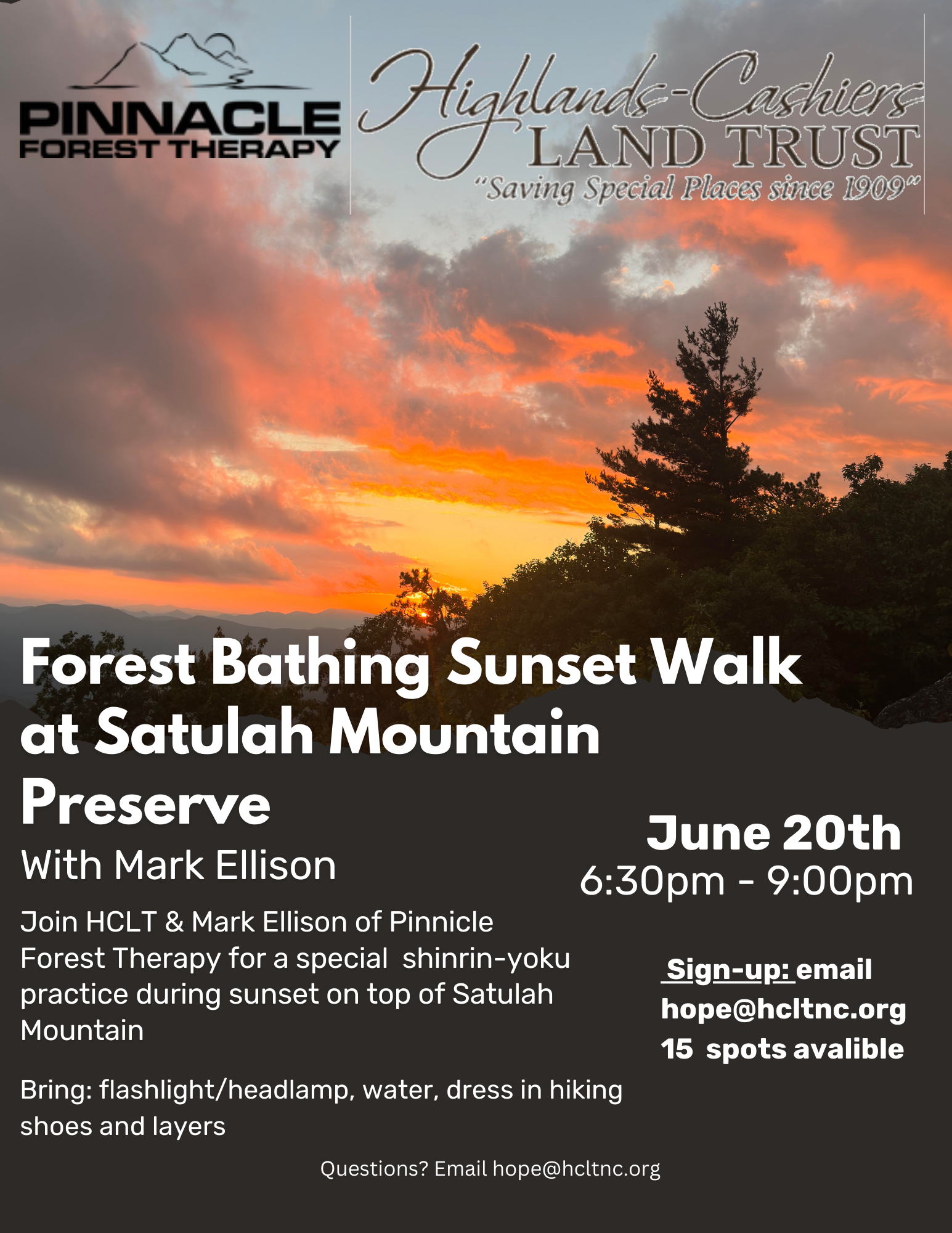 Forest Bathing Sunset Walk with Mark Ellison