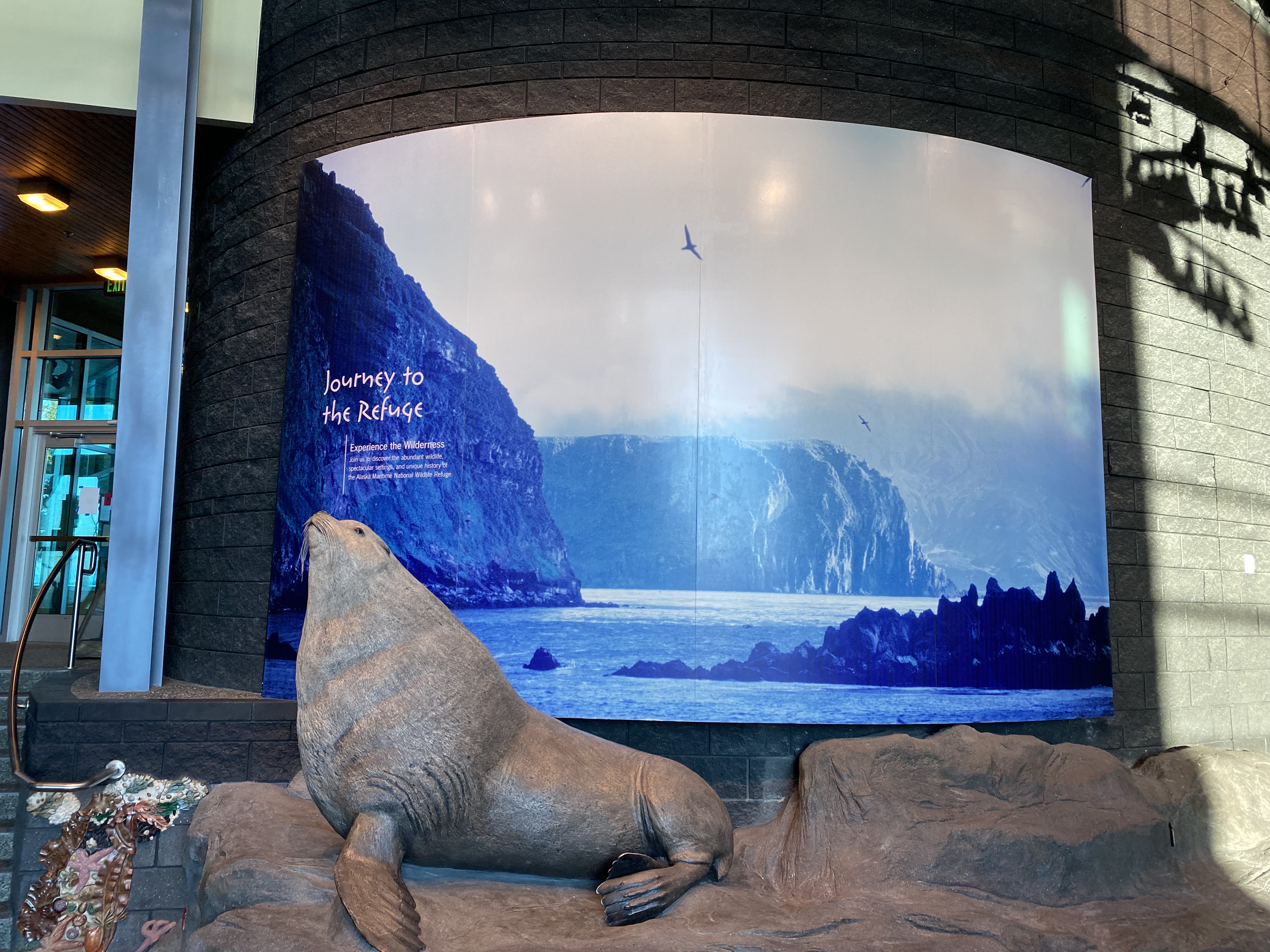 洋書 Kachemak Bay Alaska The r Foundation 洋書 Kachemak Bay Alaska The r Foundation Kachemak Bay Book