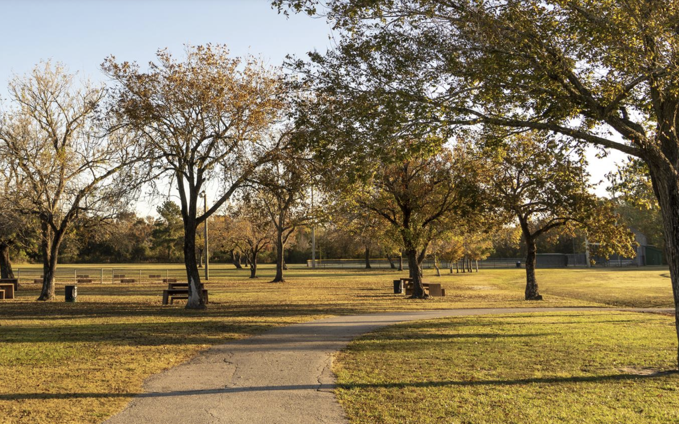 Bear branch hot sale dog park