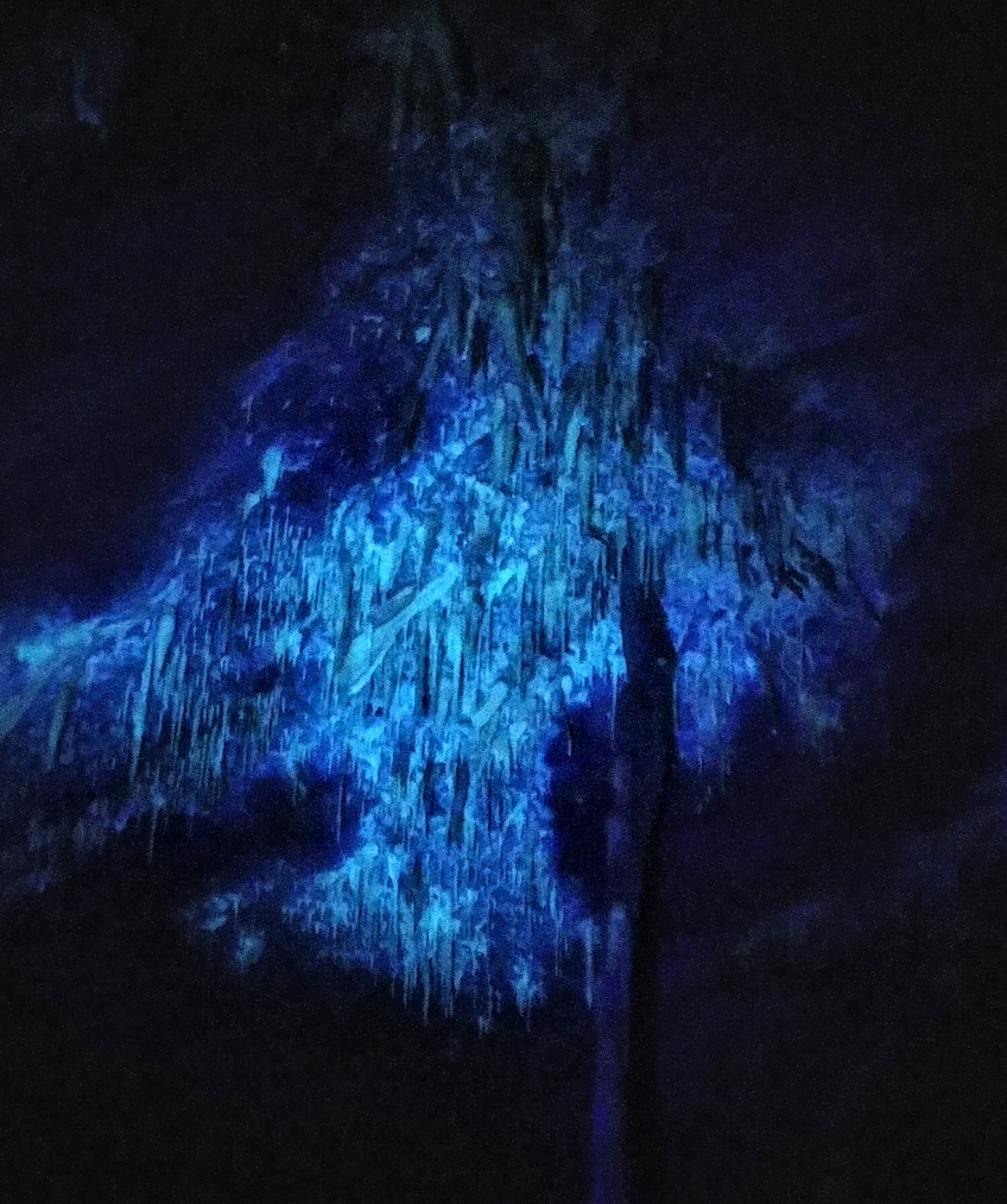 Come to the Dark Side: Blacklight Adventures at Lincoln Caverns