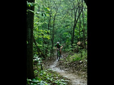 Raystown Lake Mountain Bike Skills Park