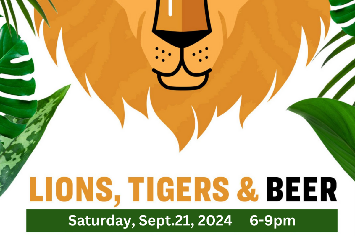 Lions Beer, Brats and Bingo