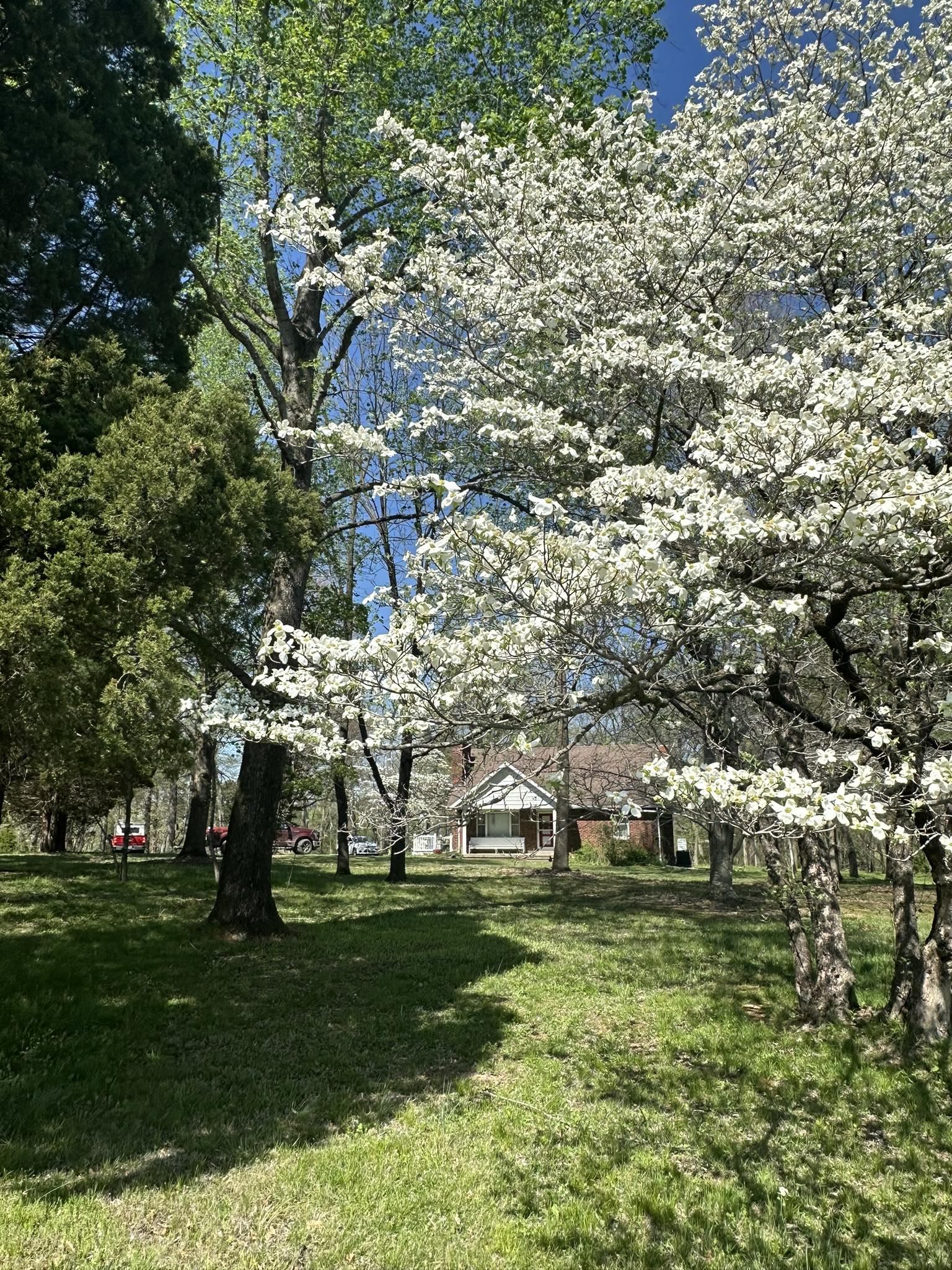 That '70s House