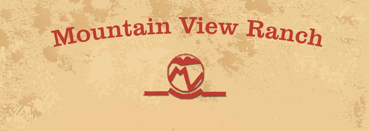 Mountain View Ranch: Classic Auto Show