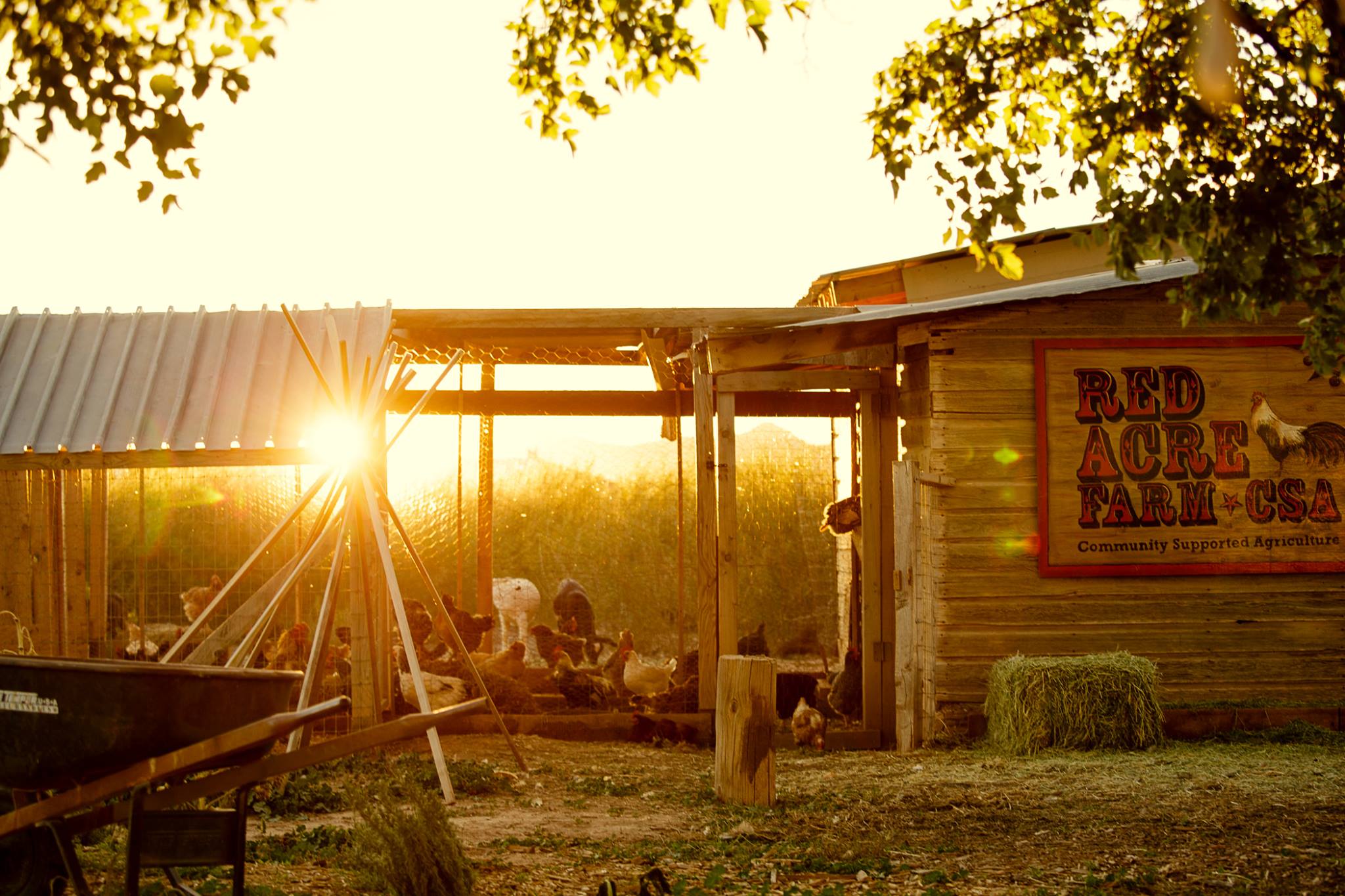 RA: Farmer to Fork Dinner