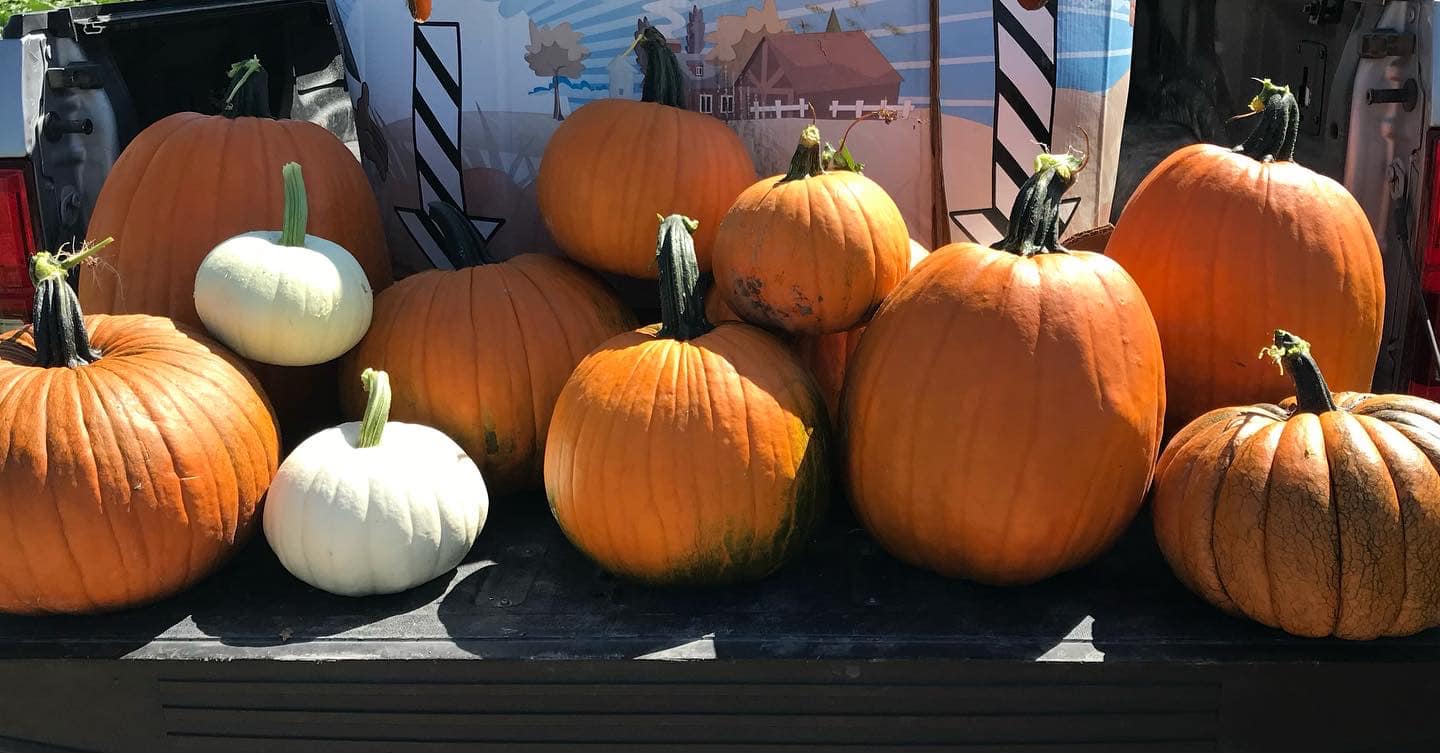 Robinson Family Pumpkin Patch