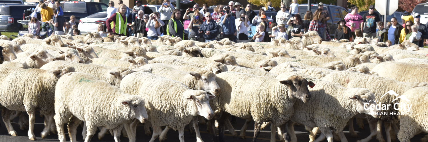 Cedar Livestock and Heritage Festival