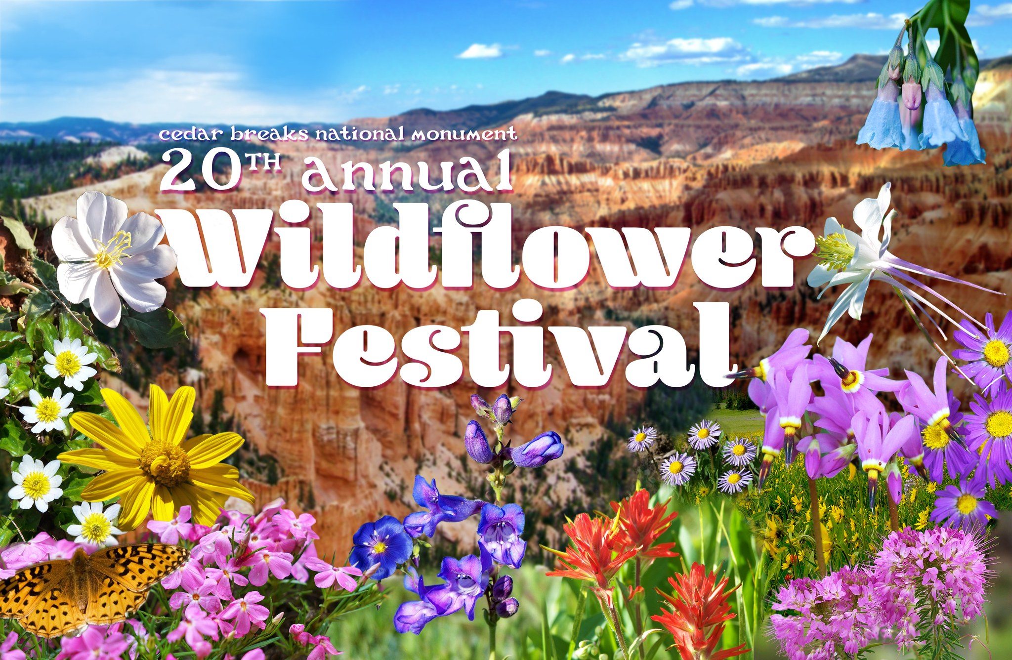 CB: Wildflower Festival