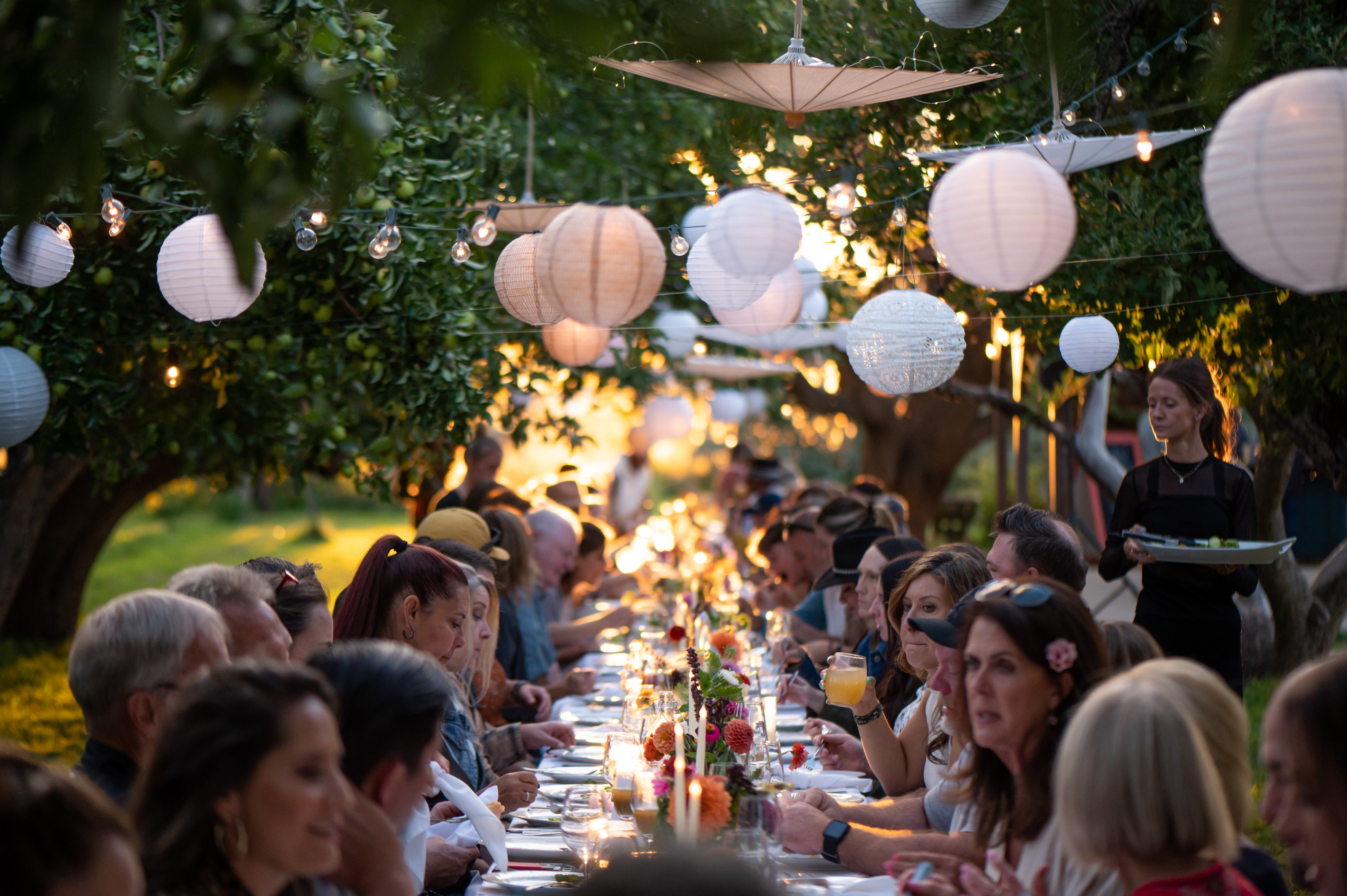 SP: Farm to Table