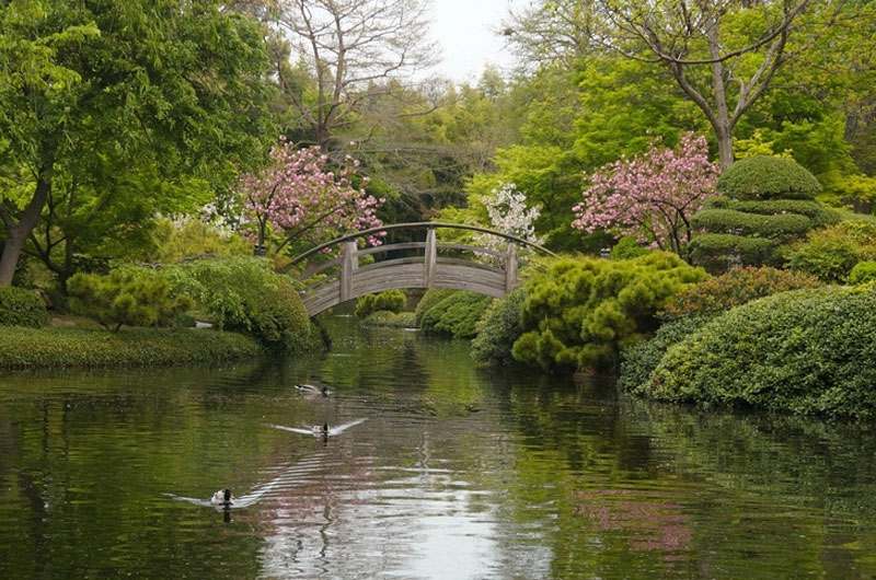 Fort Worth Botanical Gardens Pictures | Fasci Garden