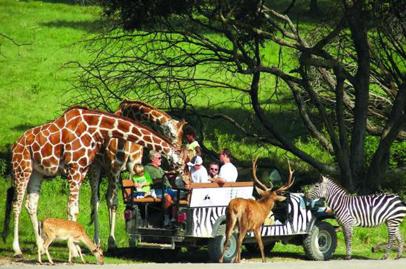 Fossil Rim Wildlife Center