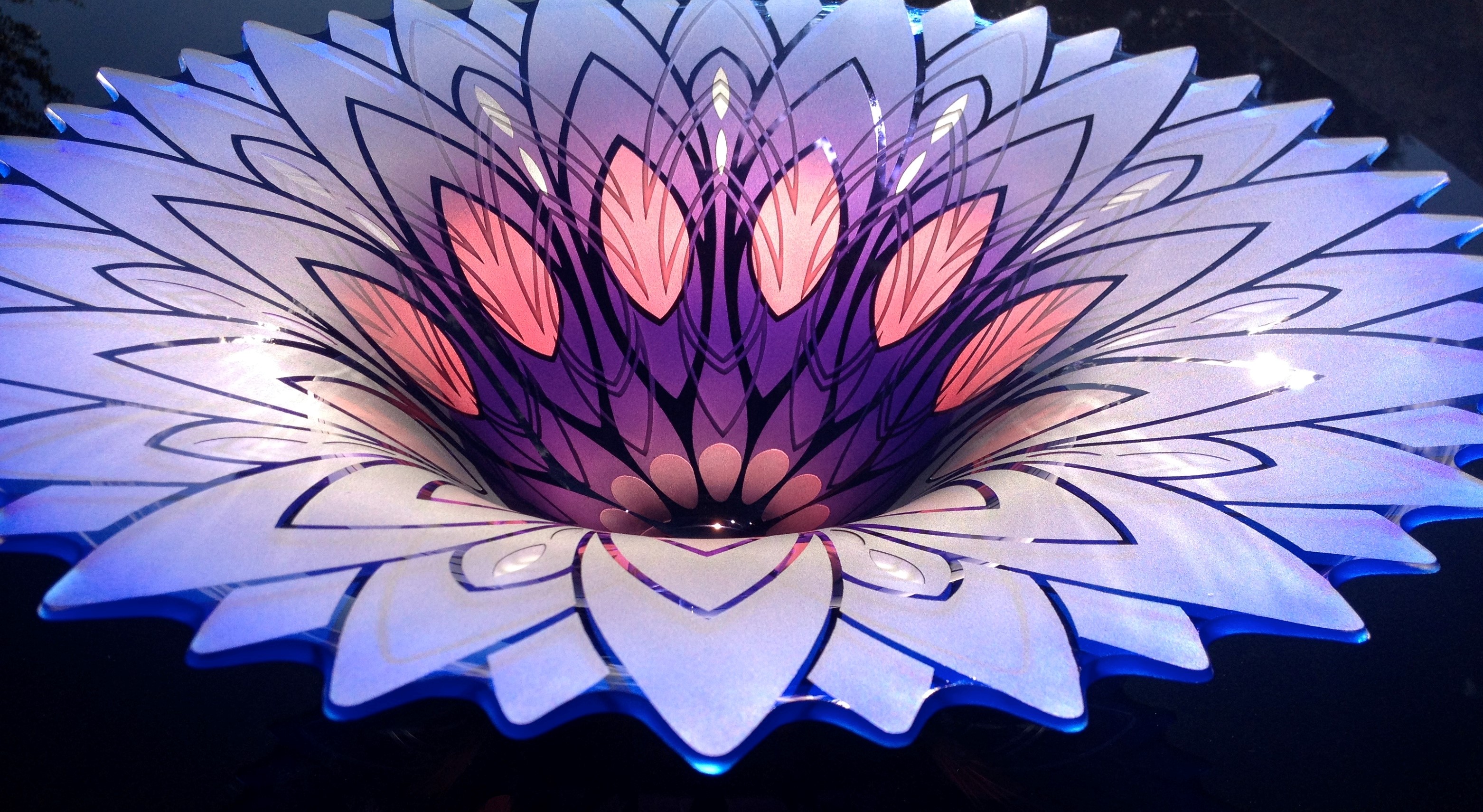 thal2_B2E510A1-AF97-3CD5-