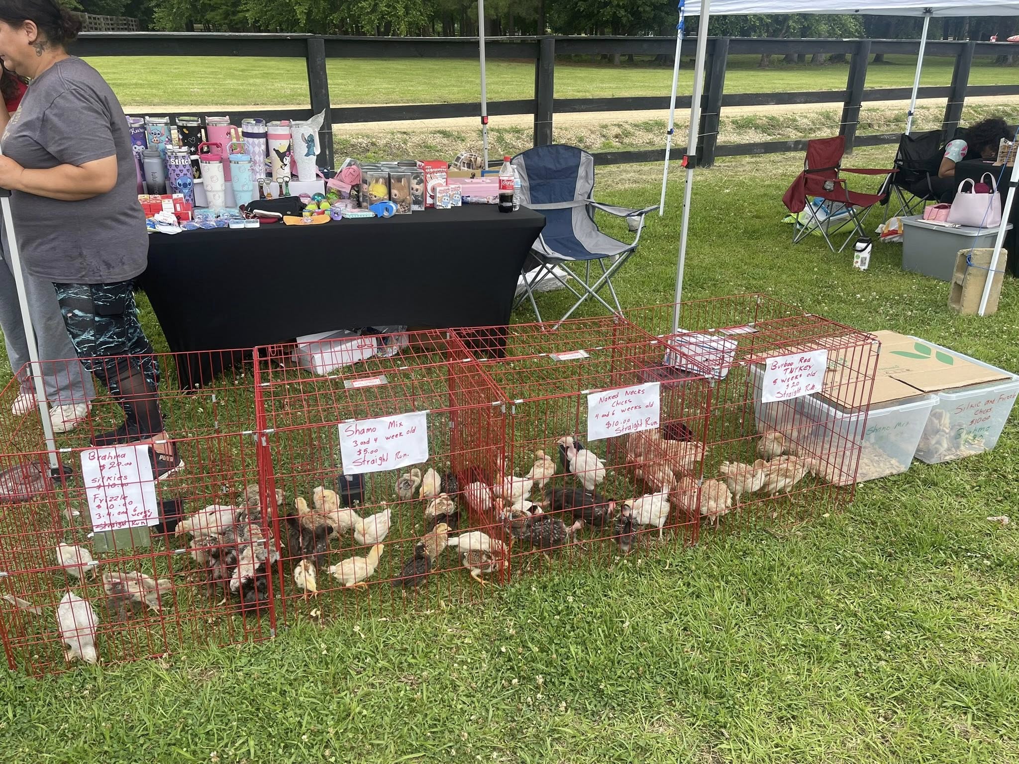 G+F Twilight Market