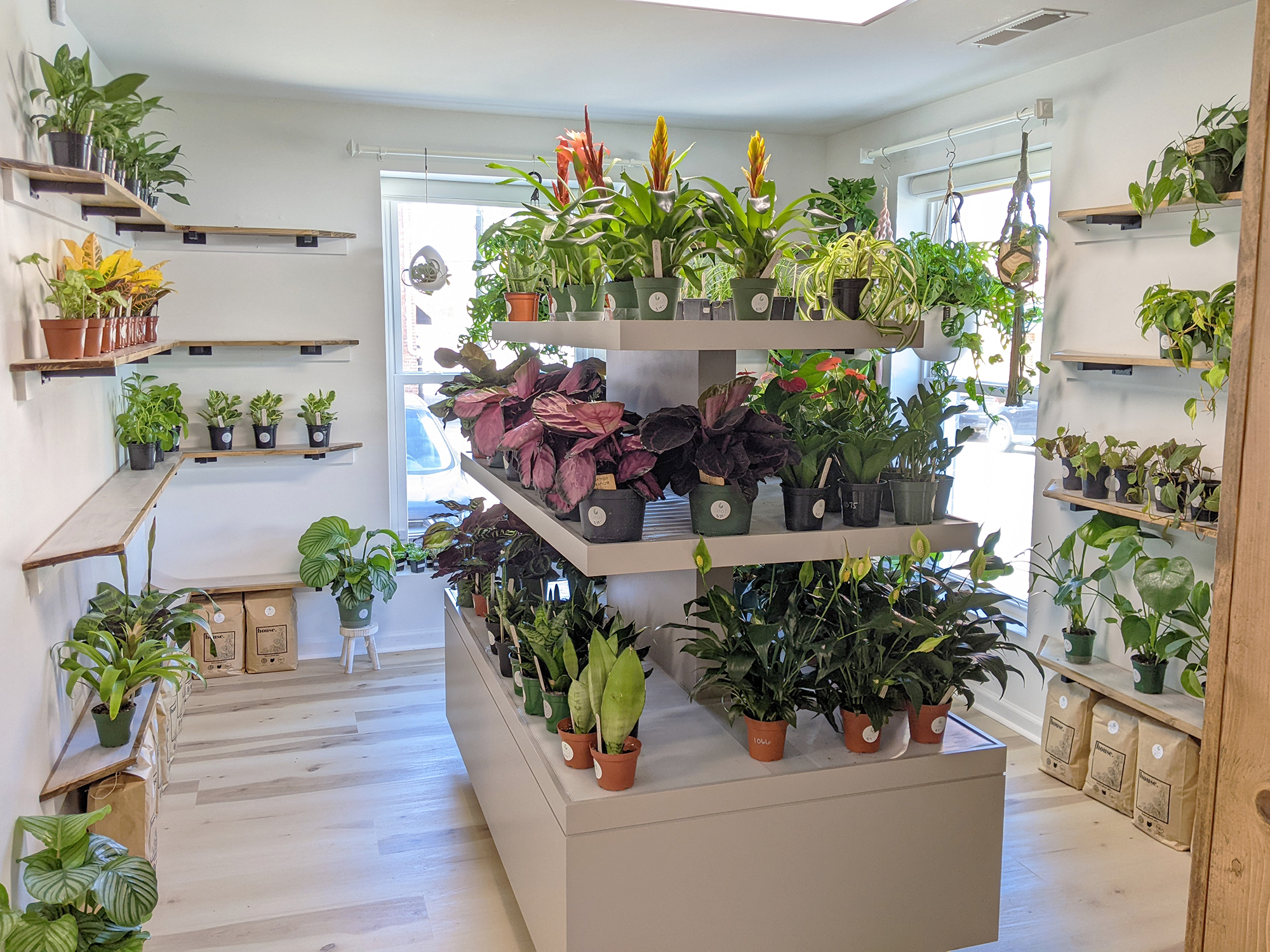 Leaf Plant Shop