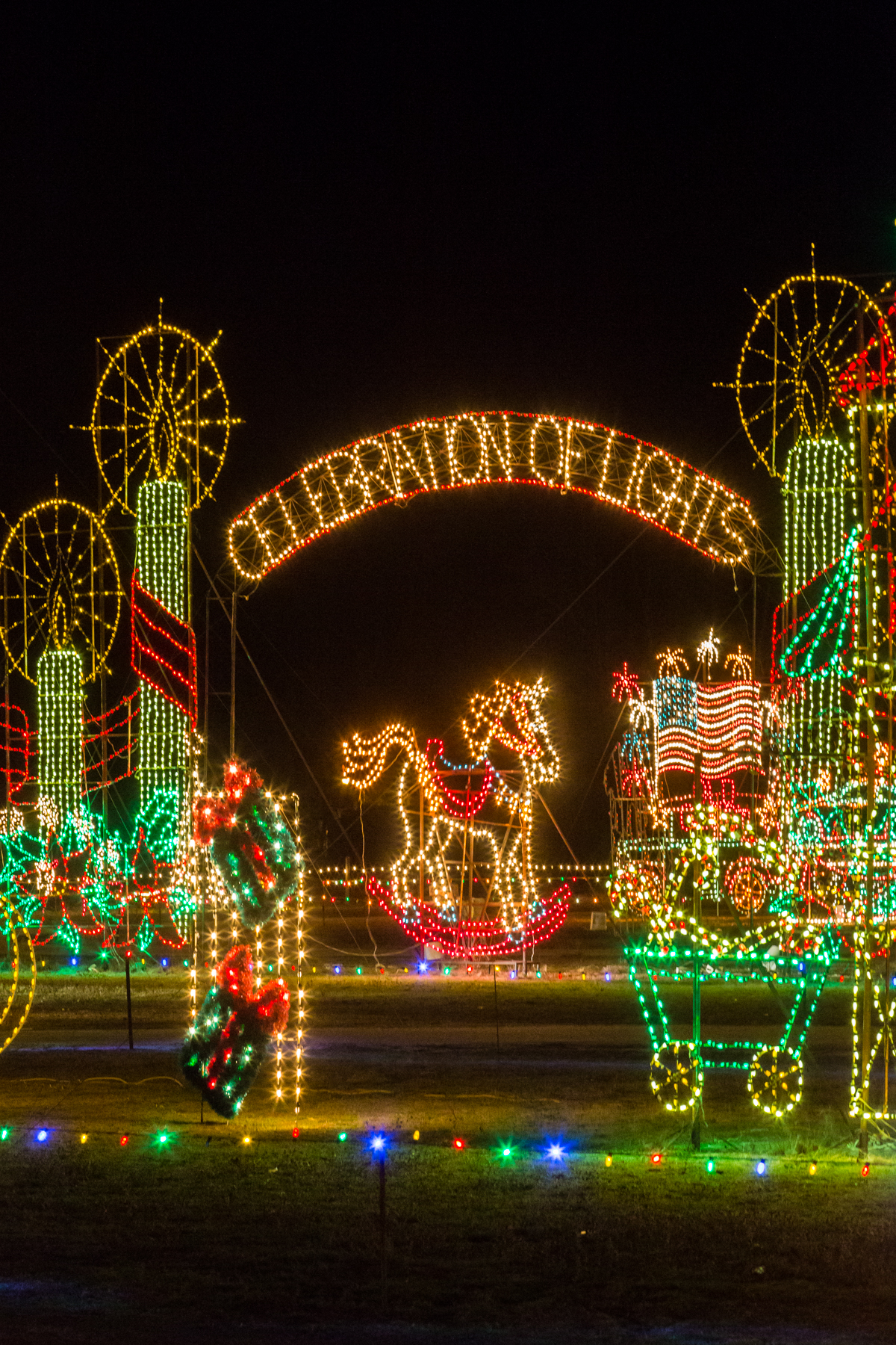 Meadow Lights