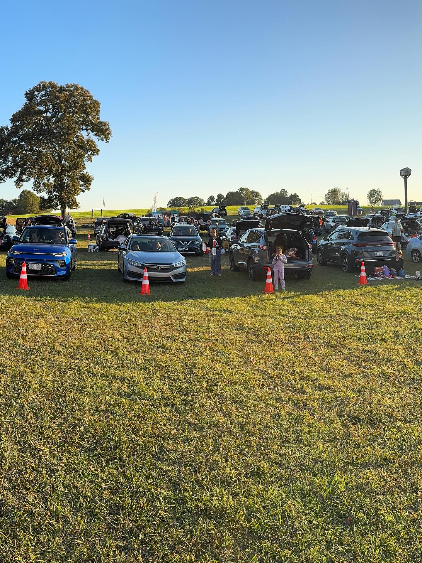 Drive In Movies