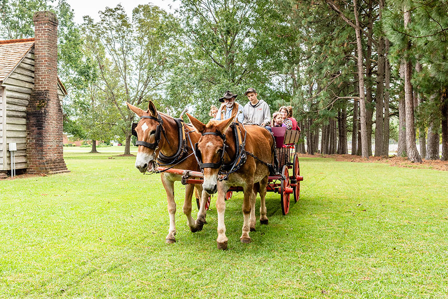 Fall Festival at Bentonville Battlefield