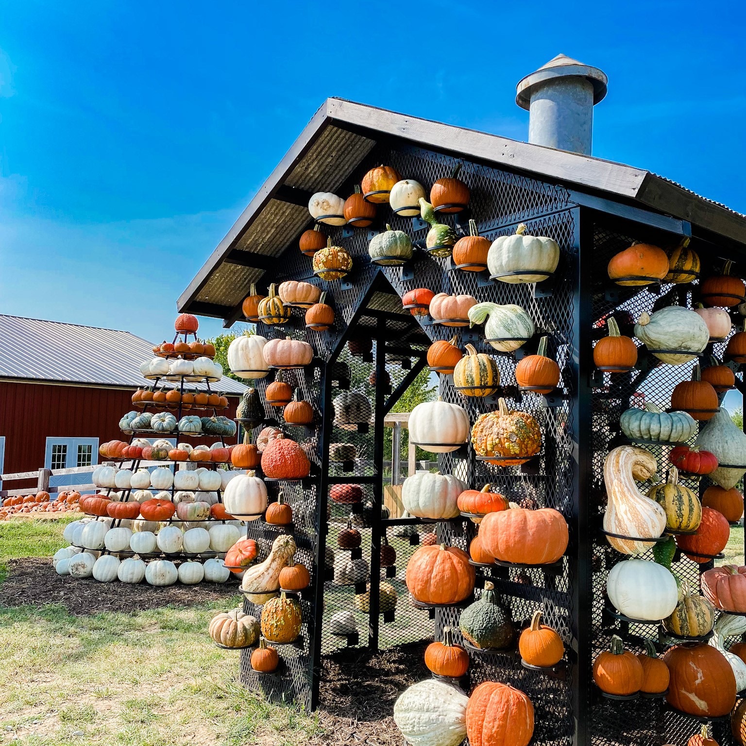 Gardner Pumpkin Patches