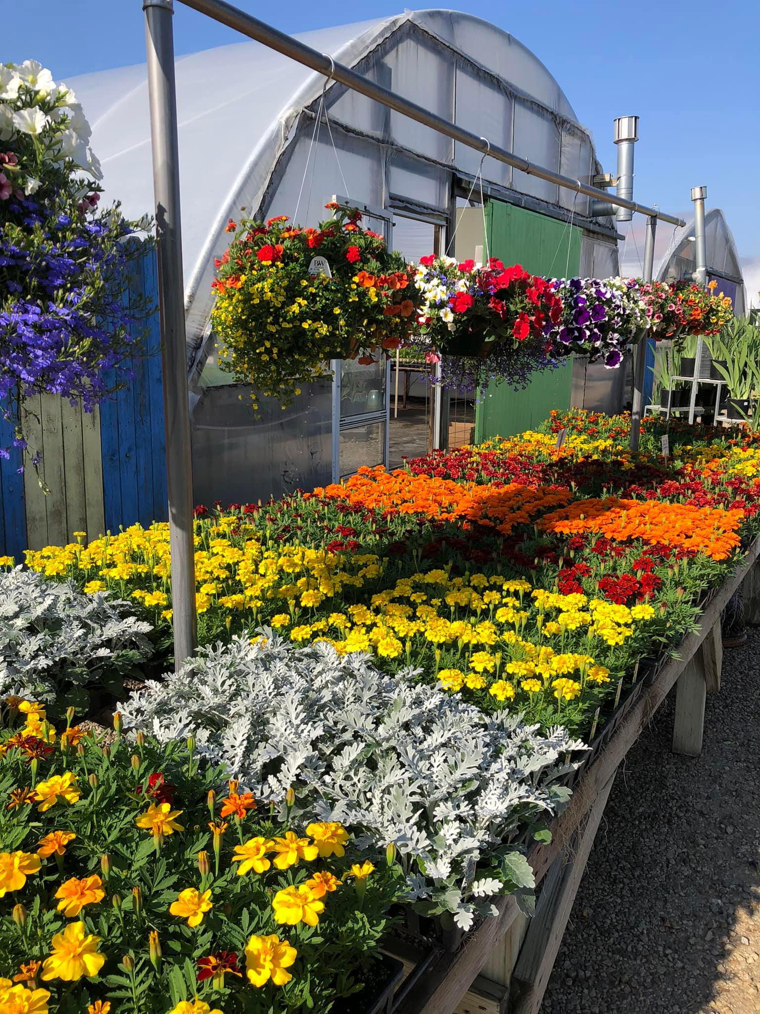 The Henrys' Plant Farm - Lecompton KS, 66050