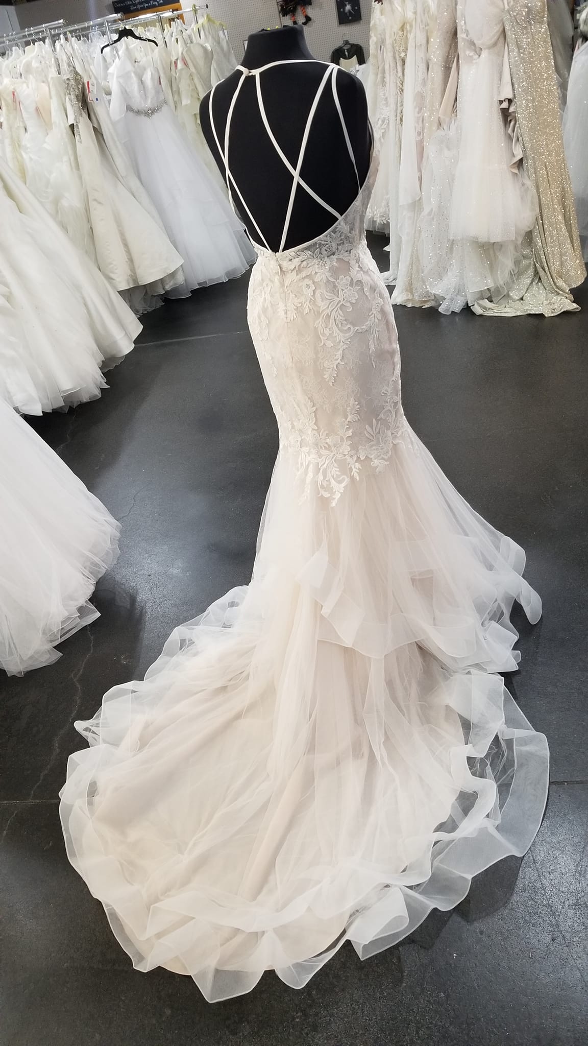 Schoen's on sale bridal world