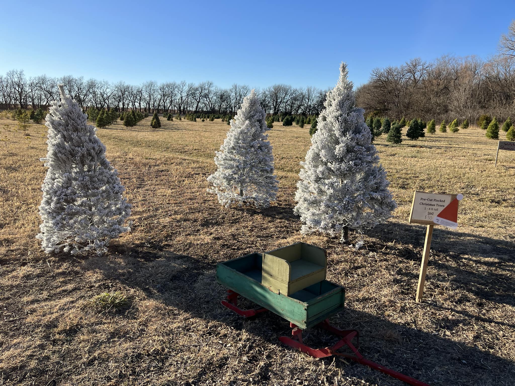 Peaceful Pines LLC - Walton KS, 67151