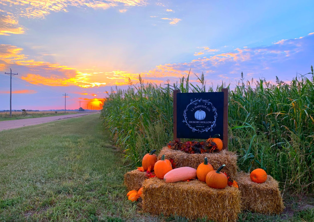 PICharPaK WorksHoP.×CAMP HILLS Gear Showcase: Campsite Gear and Camp Kitchen Overland Expo