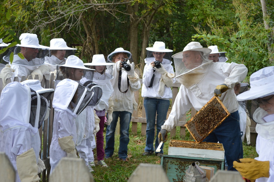 Hillside Honey Apiary - Easton KS, 66020