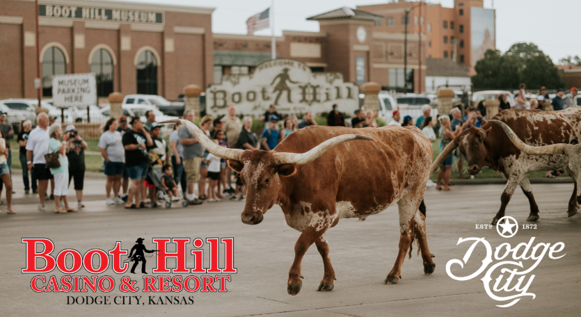 Dodge City Days Longhorn Cattle Drive - Dodge City KS, 67801