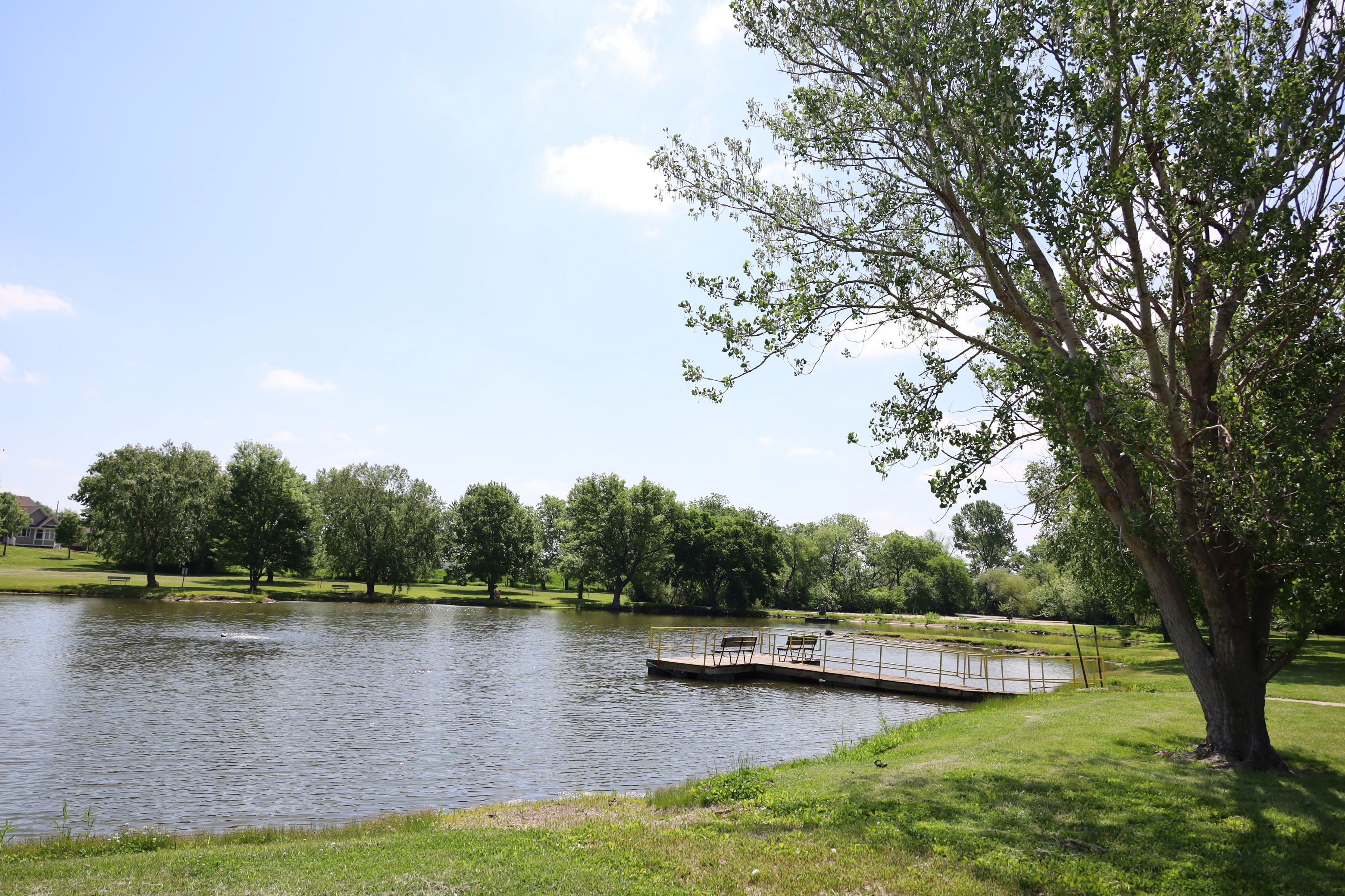 ¥ellow Bucks & Playsson / City View Ye Olde City Park - Lebo KS, 66856