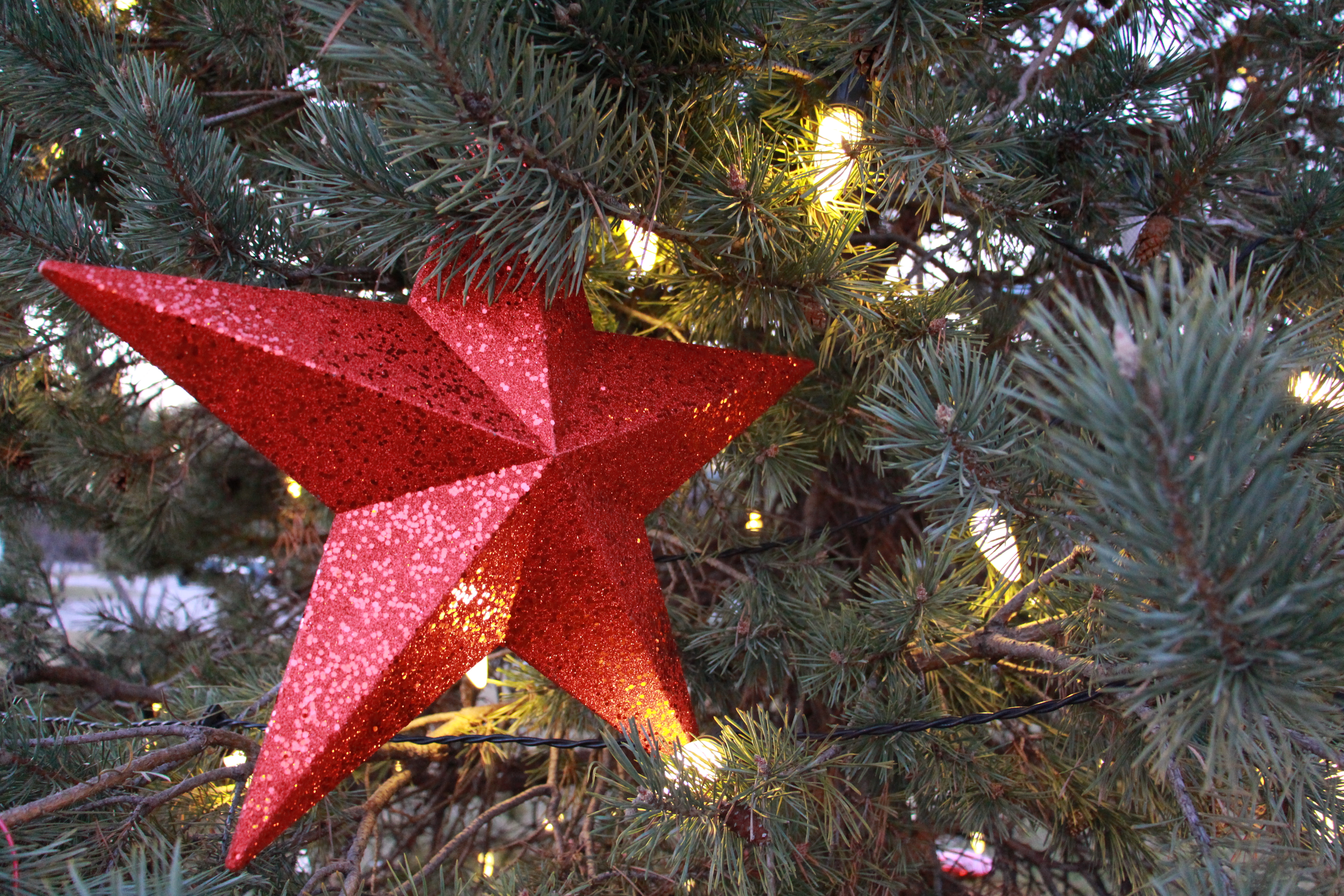 An ornament on the Christmas tree in the plaza outside Cowboys