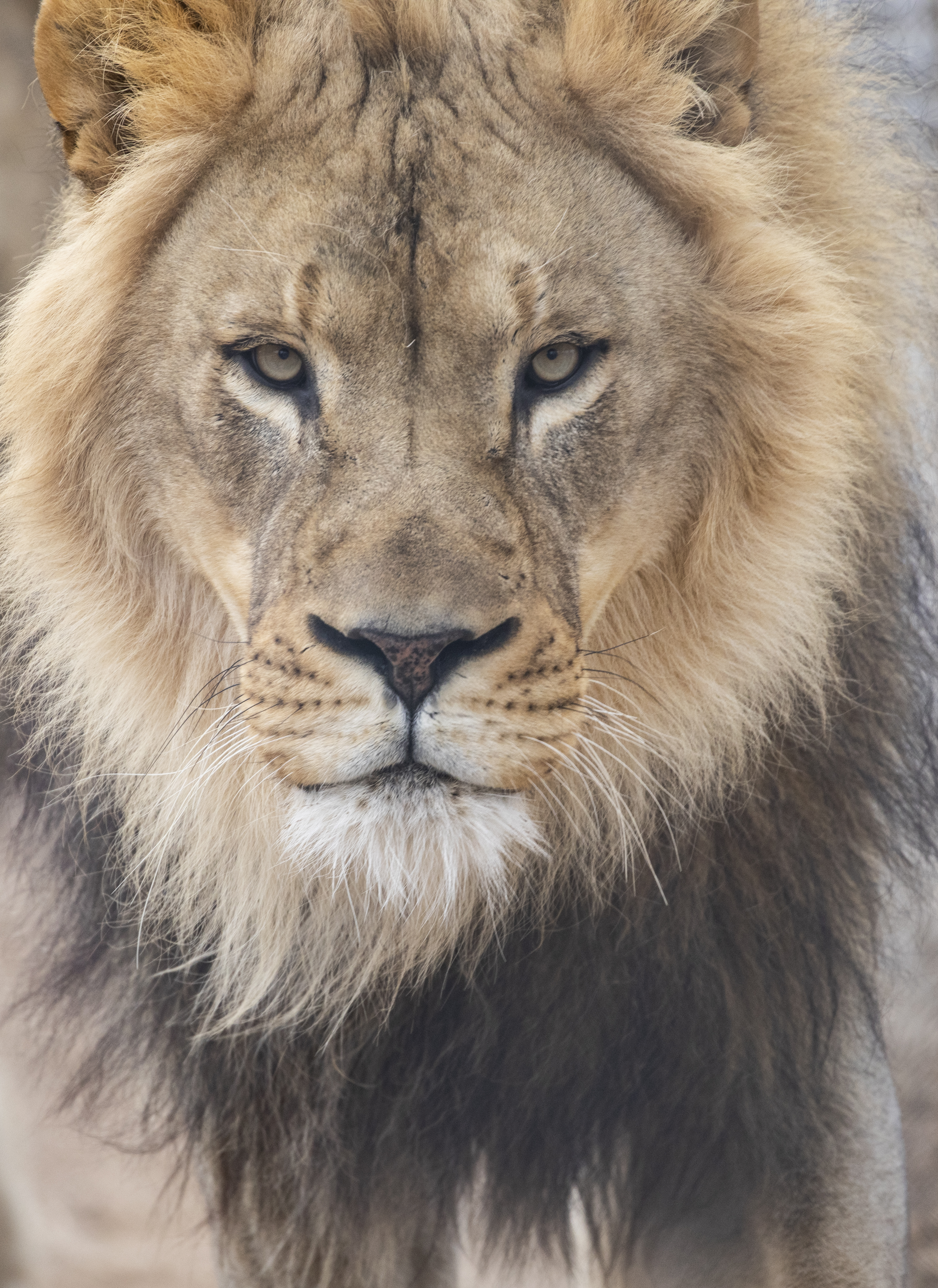 Lee Richardson Zoo & Safari Shoppe - Garden City KS, 67846