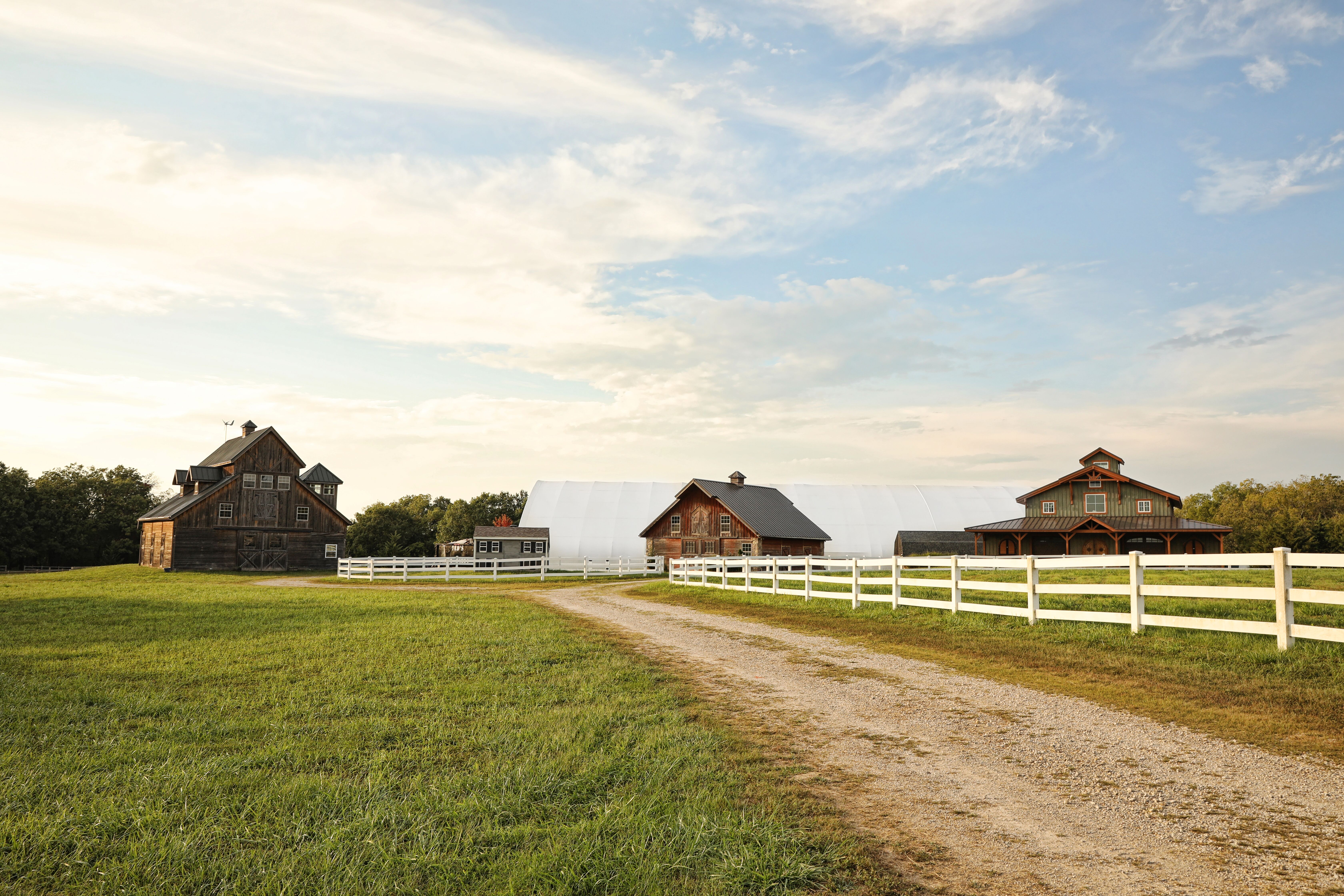 Serendipity Farm And Vine Stilwell Ks 66085