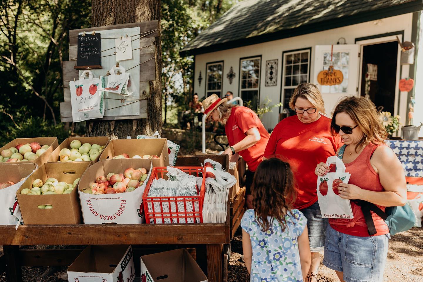 ArboralisCASK&Orchard House2本[DAAALAND様] Inside a $7,000,000 AZD Architect's designed home in Orchard