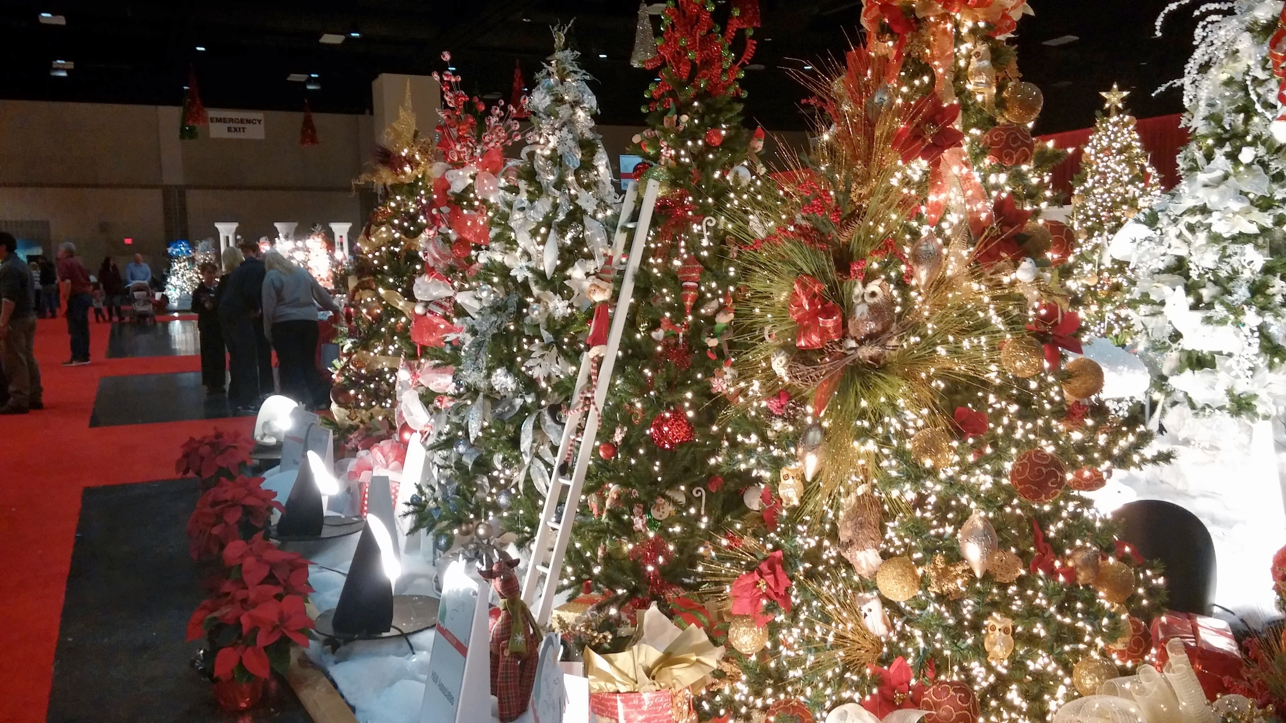 christmas events in knoxville tn 2020 Fantasy Of Trees christmas events in knoxville tn 2020