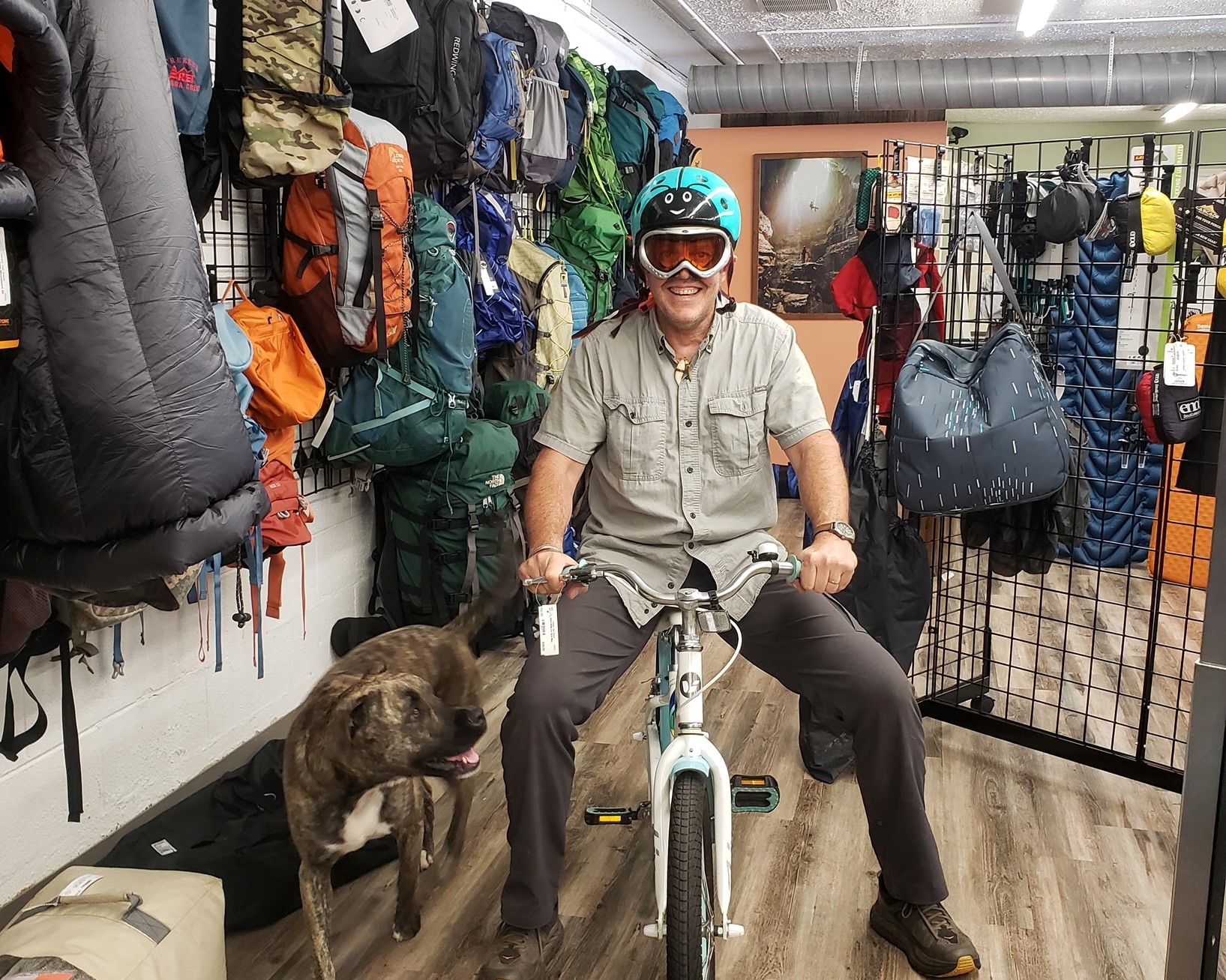 https://assets.simpleviewinc.com/simpleview/image/upload/crm/knoxville/Bike-with-Dog_114690BB-5056-BF65-D6CA8472D76E43C0-11468e6d5056bf6_11469940-5056-bf65-d6461de92f39b861.jpg