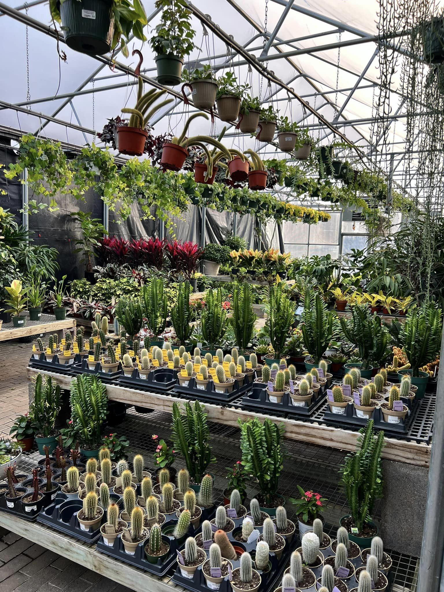 Corky's Garden Path | Scott Twp, PA