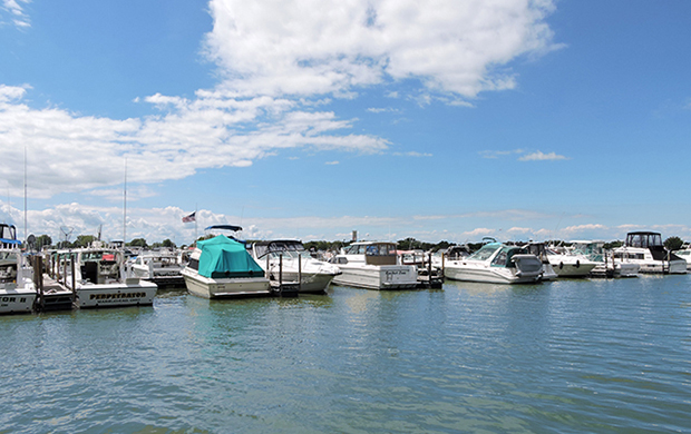 East Harbour