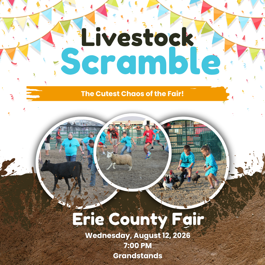 Livestock Scramble