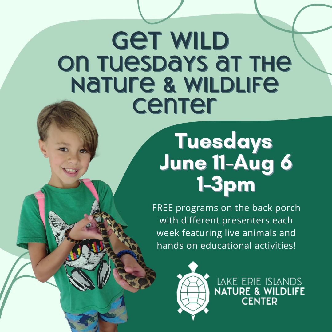 Wild Tuesdays