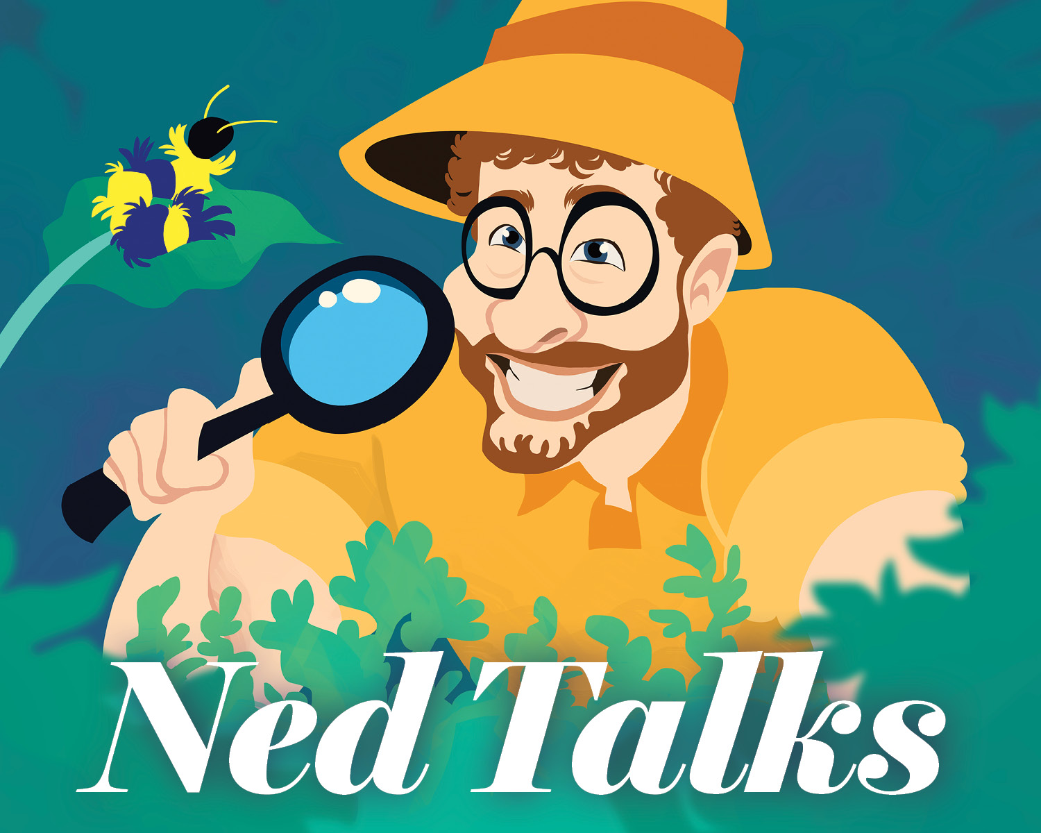 Ned Talks Presents: Mike Hensley presents about Marvelous Moths