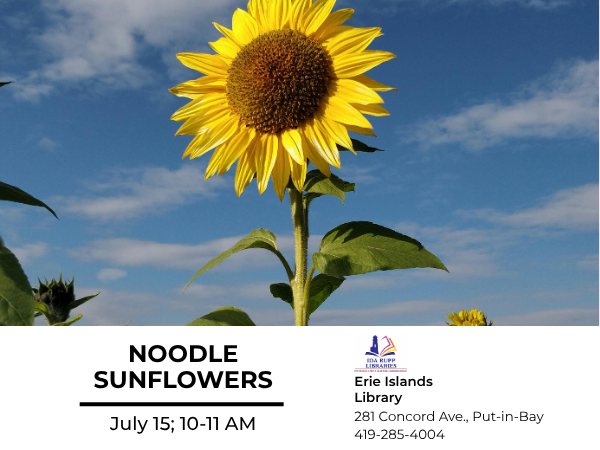 Noodle Sunflowers