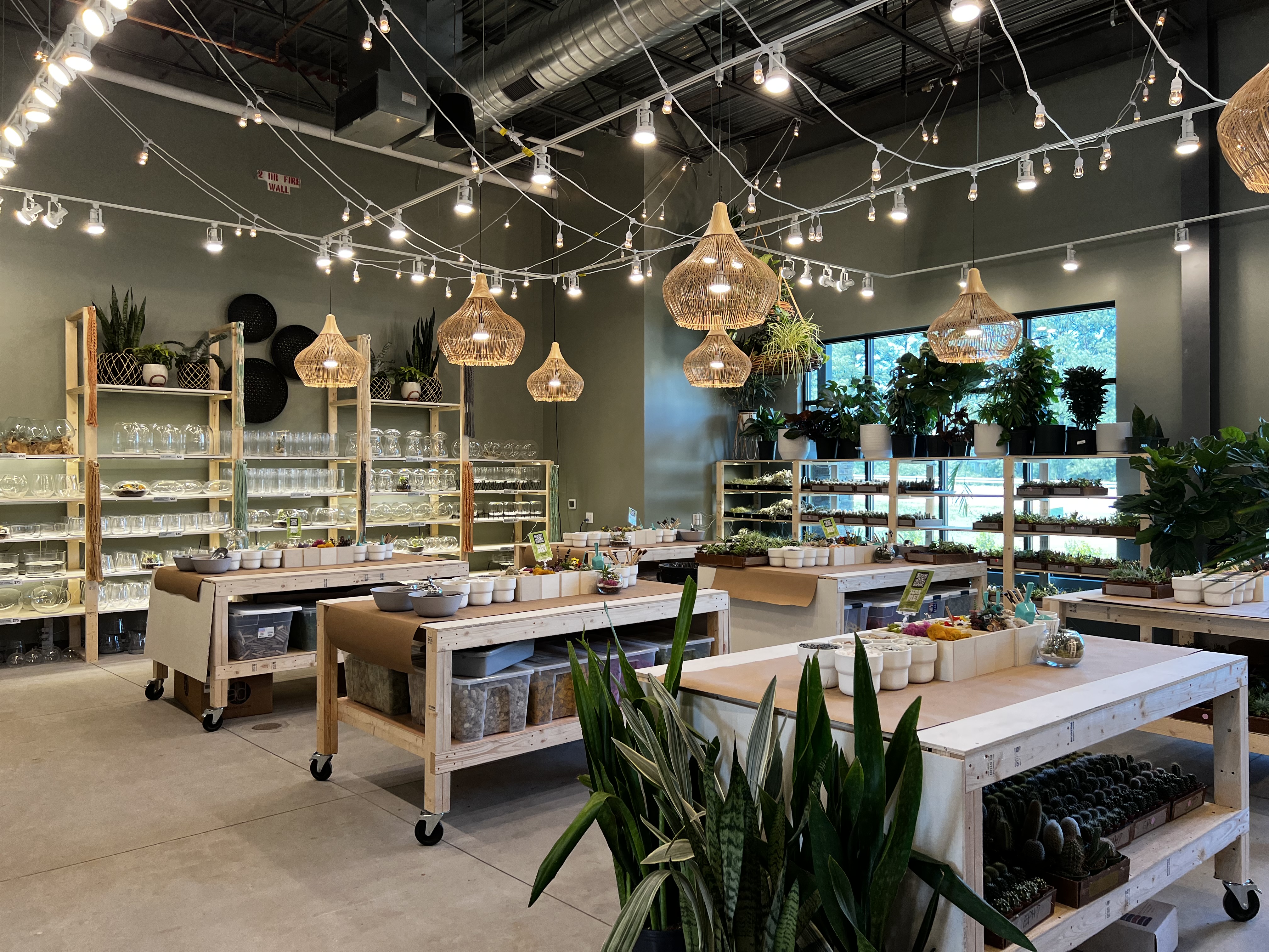 PlantHouse Huntersville