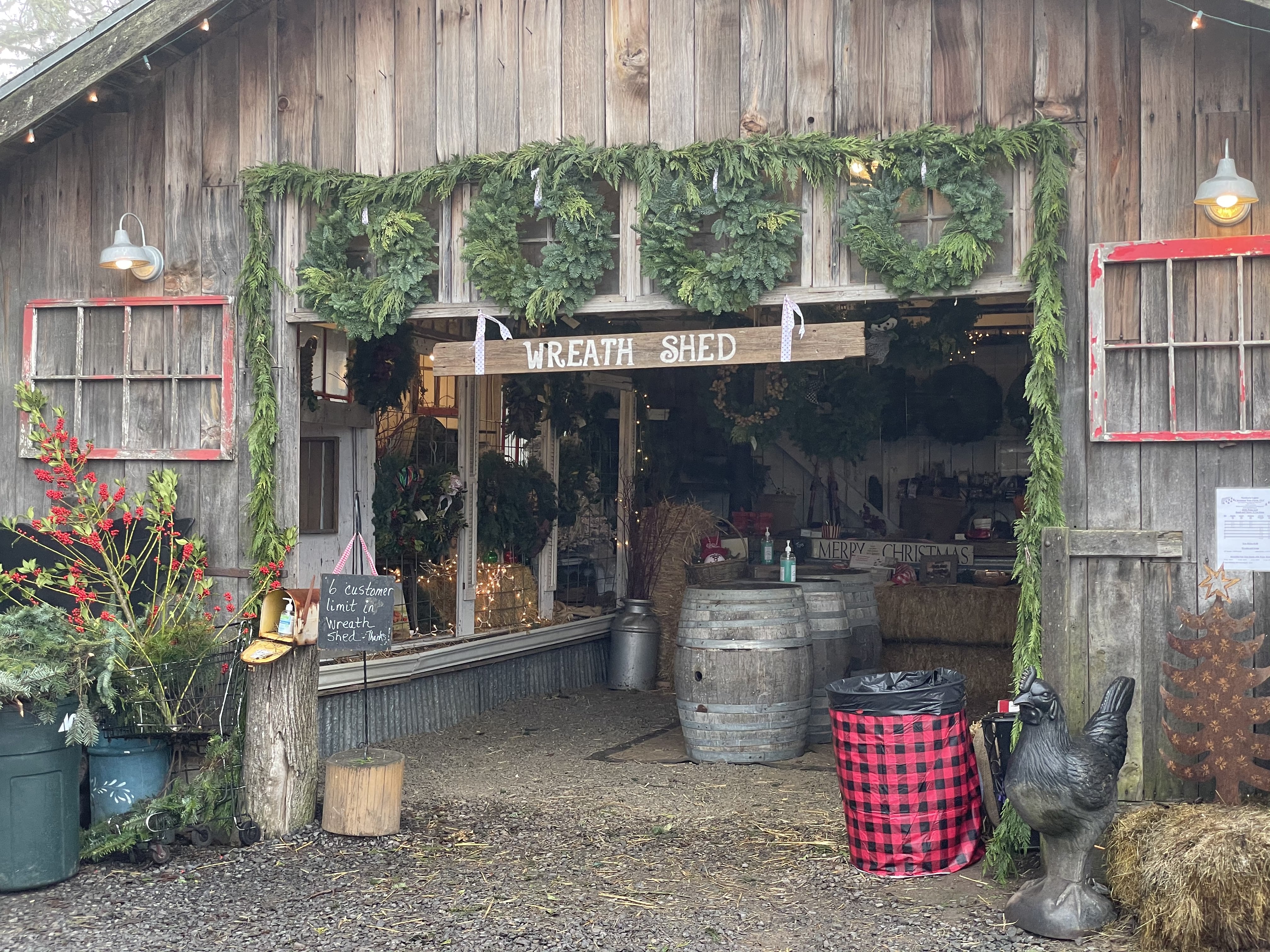 Northern Lights Christmas Tree Farm - Shopping - Farmers Markets