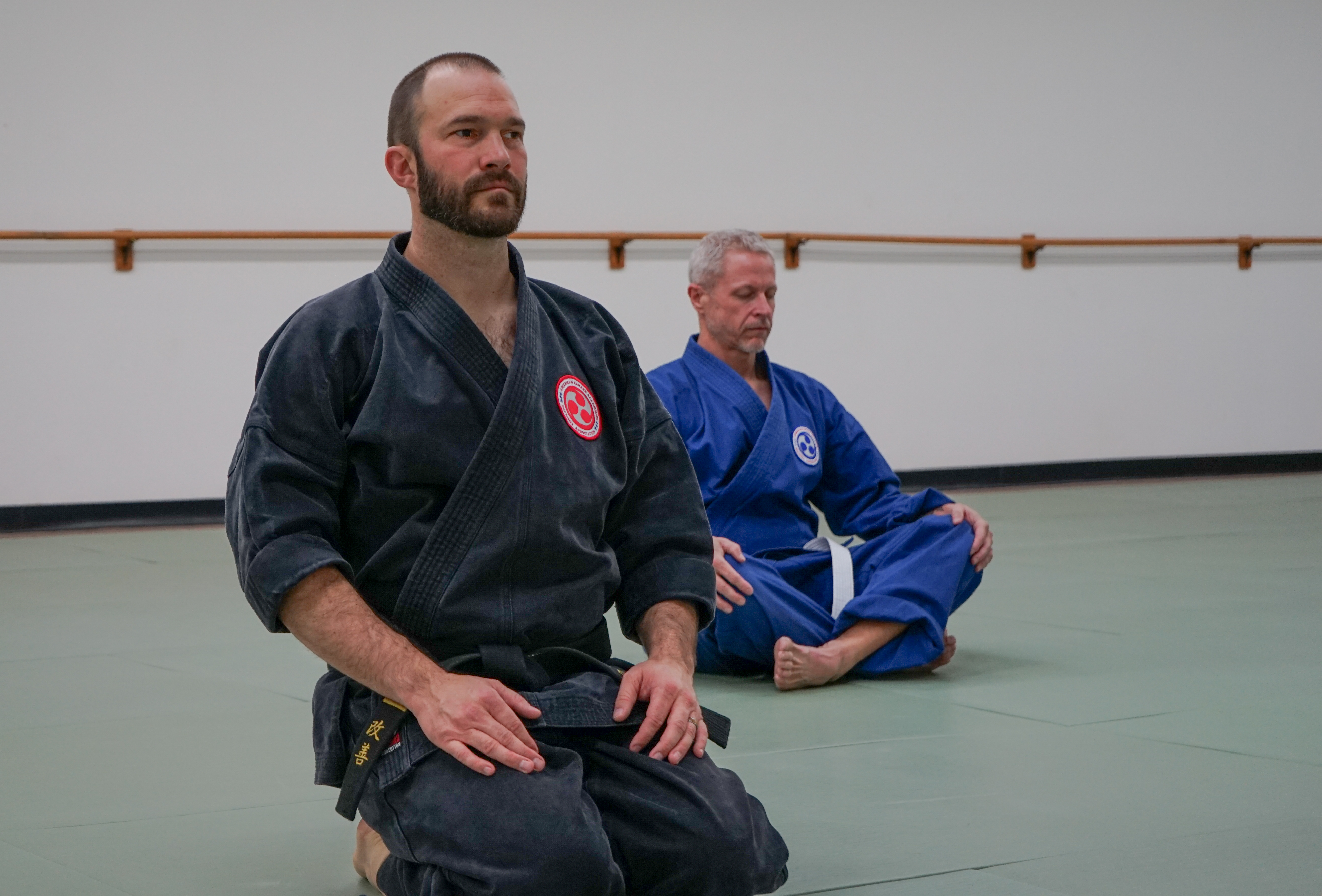 american martial arts institute