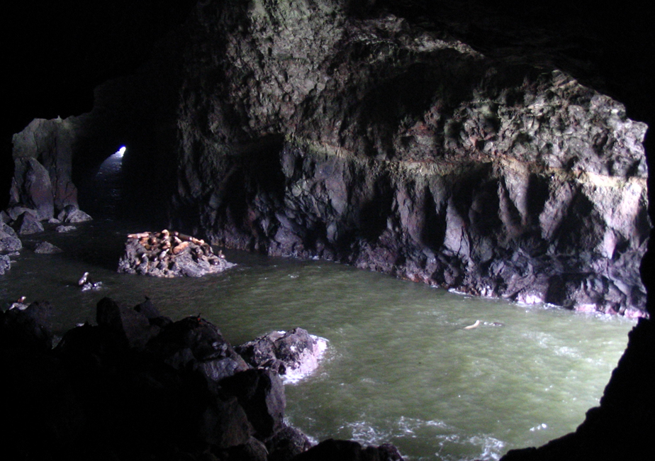 sea lion caves